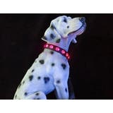 首輪 犬用 猫用 | PlusNao | 詳細画像3