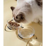 猫用食器 犬用食器 ペット用食器 | PlusNao | 詳細画像2