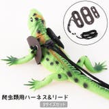 爬虫類用 ハーネス リード | PlusNao | 詳細画像1 