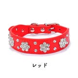 首輪 犬用?小型犬 中型犬 | PlusNao | 詳細画像7