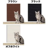爪とぎシート カーペットタイプ 猫用 | PlusNao | 詳細画像17 