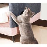 爪とぎシート カーペットタイプ 猫用 | PlusNao | 詳細画像5 