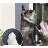 爪とぎシート カーペットタイプ 猫用 | PlusNao | 詳細画像4
