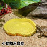 小動物用食器 爬虫類用品 両生類 | PlusNao | 詳細画像1
