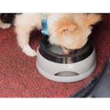 給水ボウル ペット用食器 水飲みボウル | PlusNao | 詳細画像2