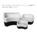 トカゲ カエル は虫類 | PlusNao | 詳細画像3