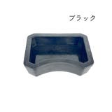 トカゲ カエル は虫類 | PlusNao | 詳細画像7