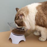 ペット用フードボウル ペット用食器 猫 | PlusNao | 詳細画像2