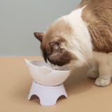 ペット用フードボウル ペット用食器 猫 | PlusNao | 詳細画像3