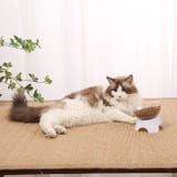 ペット用フードボウル ペット用食器 猫 | PlusNao | 詳細画像4