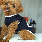 ドッグウェア 犬服 ペット服 | PlusNao | 詳細画像2