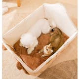 ペットハウス ドッグハウス キャットハウス | PlusNao | 詳細画像10 