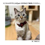 猫用首輪 ねこ ペット用品 | PlusNao | 詳細画像12