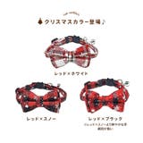 猫用首輪 ねこ ペット用品 | PlusNao | 詳細画像12 
