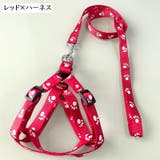 首輪リード ハーネスリード 2点セット | PlusNao | 詳細画像10 