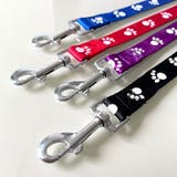 首輪リード ハーネスリード 2点セット | PlusNao | 詳細画像13 