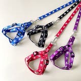 首輪リード ハーネスリード 2点セット | PlusNao | 詳細画像3 