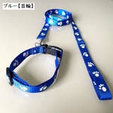 首輪リード ハーネスリード 2点セット | PlusNao | 詳細画像4 