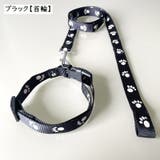 首輪リード ハーネスリード 2点セット | PlusNao | 詳細画像5 