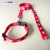 首輪リード ハーネスリード 2点セット | PlusNao | 詳細画像6 