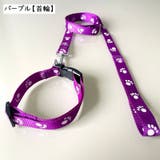 首輪リード ハーネスリード 2点セット | PlusNao | 詳細画像7 