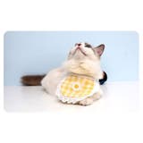 ペット用スタイ ペット用ビブ ペット用涎掛け | PlusNao | 詳細画像6 