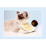 ペット用スタイ ペット用ビブ ペット用涎掛け | PlusNao | 詳細画像7 