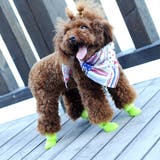 犬用ブーツ 靴 ドッグシューズ | PlusNao | 詳細画像2 