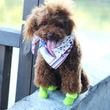 犬用ブーツ 靴 ドッグシューズ | PlusNao | 詳細画像3 