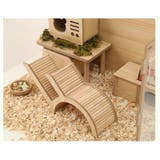 小動物 遊び場 おもちゃ | PlusNao | 詳細画像5