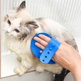 ラバーブラシ ペットブラシ 犬 | PlusNao | 詳細画像2 