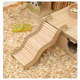 ハムスター用 はしご 梯子 | PlusNao | 詳細画像7 