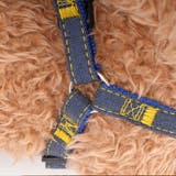 リードセット 首輪 ハーネス | PlusNao | 詳細画像13