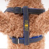 リードセット 首輪 ハーネス | PlusNao | 詳細画像15