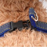 リードセット 首輪 ハーネス | PlusNao | 詳細画像17