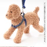 リードセット 首輪 ハーネス | PlusNao | 詳細画像2