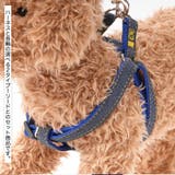 リードセット 首輪 ハーネス | PlusNao | 詳細画像3