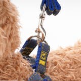 リードセット 首輪 ハーネス | PlusNao | 詳細画像4