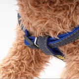 リードセット 首輪 ハーネス | PlusNao | 詳細画像5