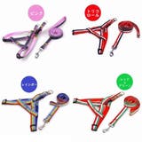 リードセット 首輪 ハーネス | PlusNao | 詳細画像8