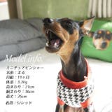 ペット服 タンクトップ 犬 | PlusNao | 詳細画像10 
