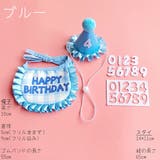 ペット用スタイ 帽子 ナンバーシール | PlusNao | 詳細画像16