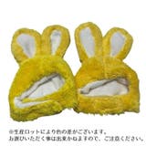 ペット用帽子 コスプレ 猫 | PlusNao | 詳細画像11 