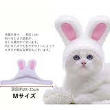 ペット用帽子 コスプレ 猫 | PlusNao | 詳細画像19 