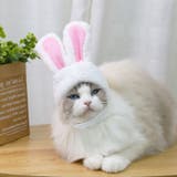 ペット用帽子 コスプレ 猫 | PlusNao | 詳細画像2 
