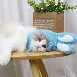ペット用帽子 コスプレ 猫 | PlusNao | 詳細画像6 