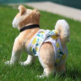 犬用サニタリーパンツ 生理パンツ オムツカバー | PlusNao | 詳細画像3