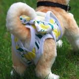 犬用サニタリーパンツ 生理パンツ オムツカバー | PlusNao | 詳細画像5