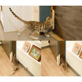 ペットドア 半自動 簡単設置 | PlusNao | 詳細画像4 