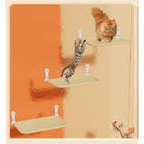 猫用ハンモック 吸盤式 窓ベッド | PlusNao | 詳細画像3 